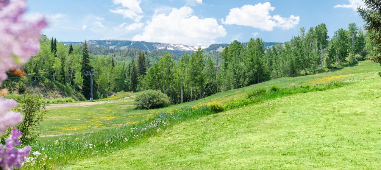 Laurelwood Condominiums 202 Snowmass Village Εξωτερικό φωτογραφία
